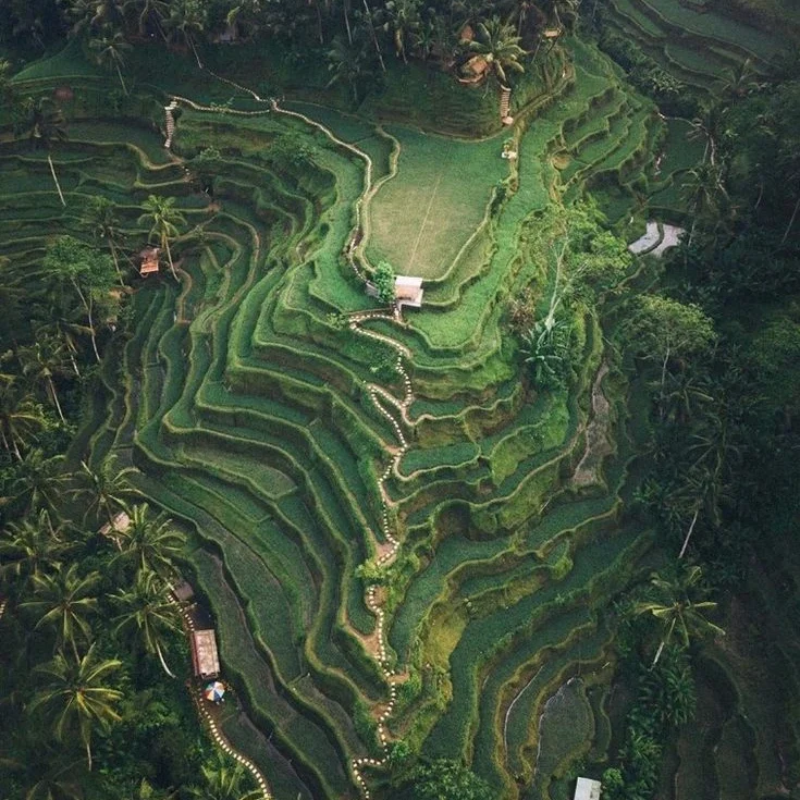 İndoneziya, bali